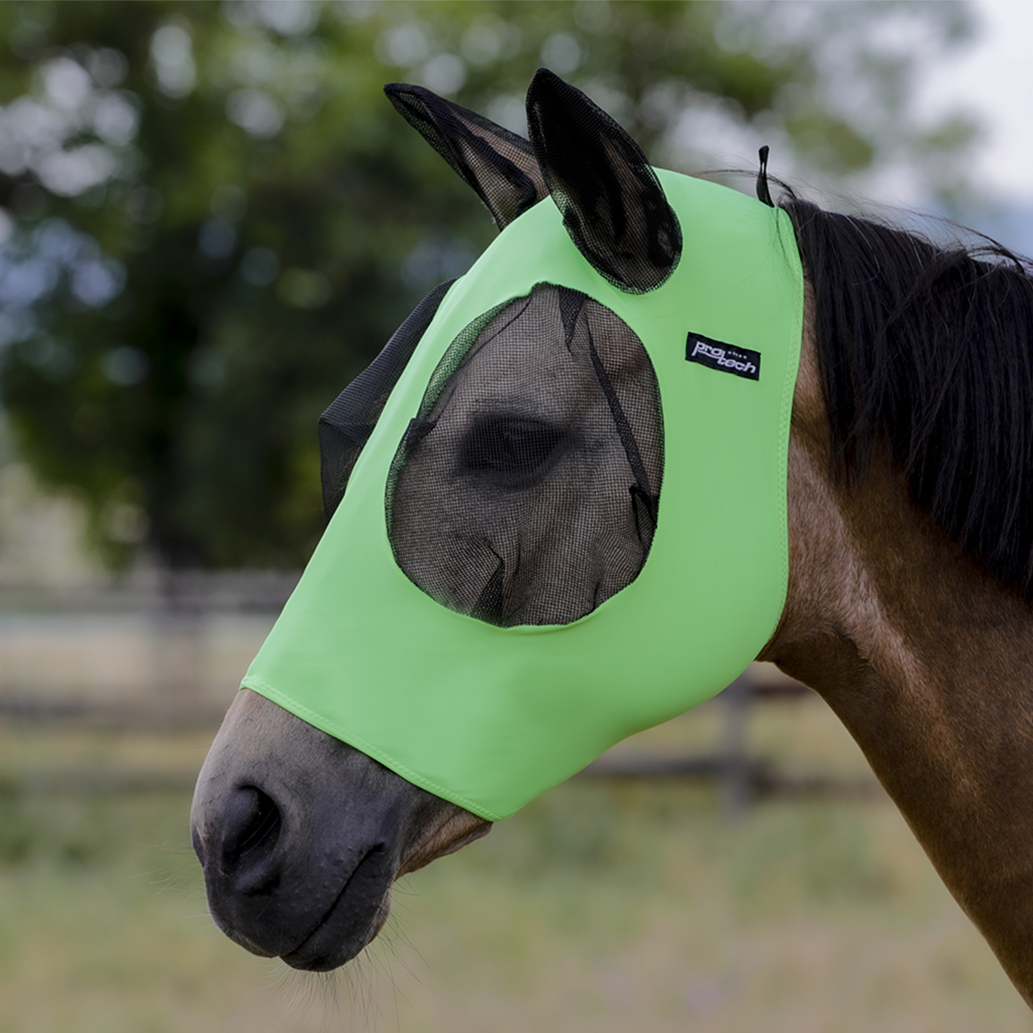 Lime Maske