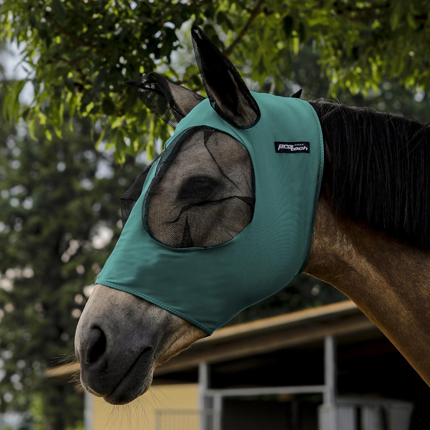 Petrol Maske